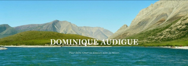 Le blog de Dominique Audigué